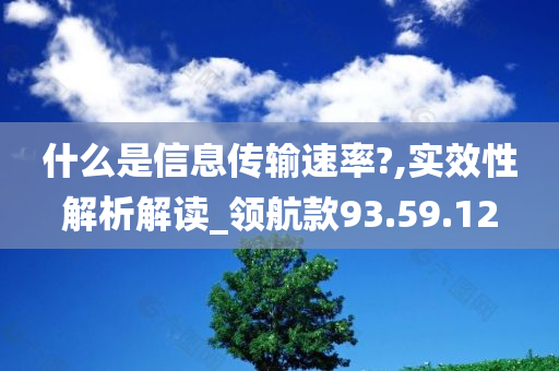 什么是信息传输速率?,实效性解析解读_领航款93.59.12