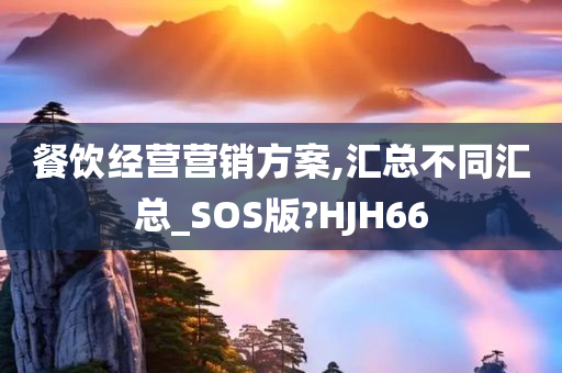 餐饮经营营销方案,汇总不同汇总_SOS版?HJH66