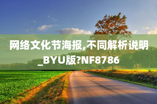 网络文化节海报,不同解析说明_BYU版?NF8786