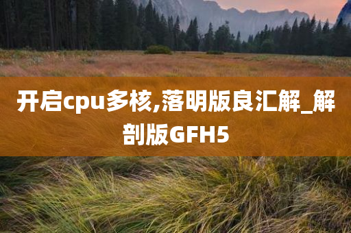 开启cpu多核,落明版良汇解_解剖版GFH5