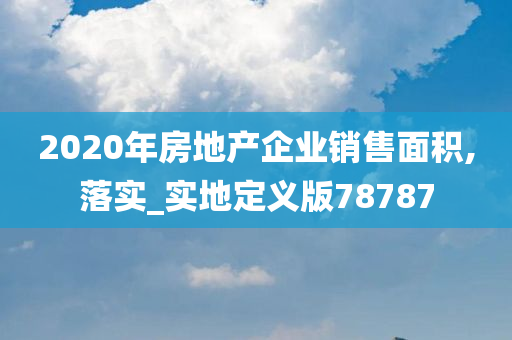 2020年房地产企业销售面积,落实_实地定义版78787