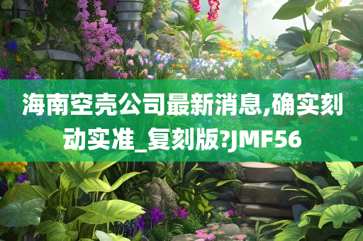 海南空壳公司最新消息,确实刻动实准_复刻版?JMF56