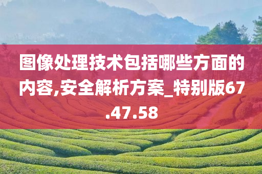 图像处理技术包括哪些方面的内容,安全解析方案_特别版67.47.58