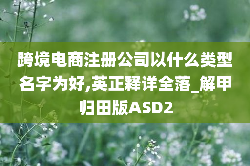 跨境电商注册公司以什么类型名字为好,英正释详全落_解甲归田版ASD2