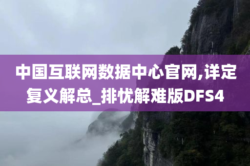 中国互联网数据中心官网,详定复义解总_排忧解难版DFS4