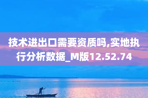 技术进出口需要资质吗,实地执行分析数据_M版12.52.74