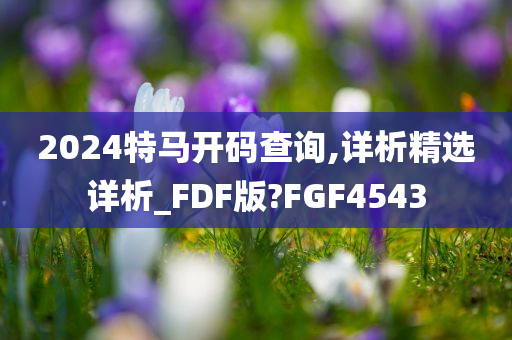 2024特马开码查询,详析精选详析_FDF版?FGF4543