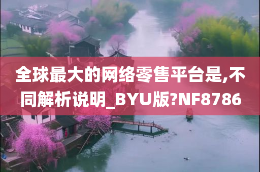 全球最大的网络零售平台是,不同解析说明_BYU版?NF8786