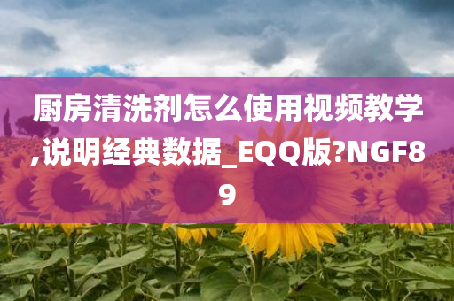 厨房清洗剂怎么使用视频教学,说明经典数据_EQQ版?NGF89