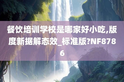 餐饮培训学校是哪家好小吃,版度新据解态效_标准版?NF8786