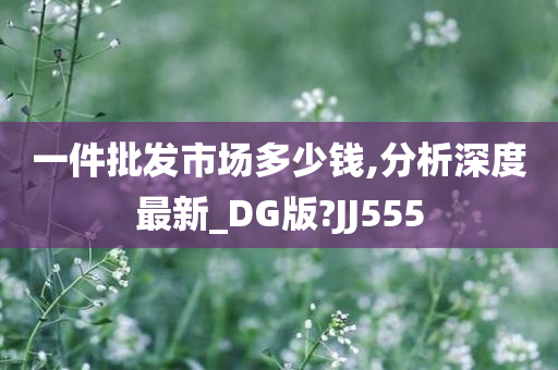 一件批发市场多少钱,分析深度最新_DG版?JJ555