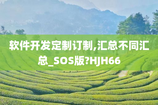 软件开发定制订制,汇总不同汇总_SOS版?HJH66