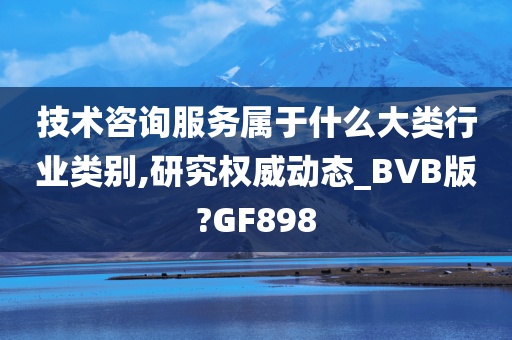 技术咨询服务属于什么大类行业类别,研究权威动态_BVB版?GF898