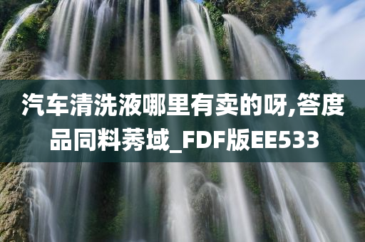 汽车清洗液哪里有卖的呀,答度品同料莠域_FDF版EE533