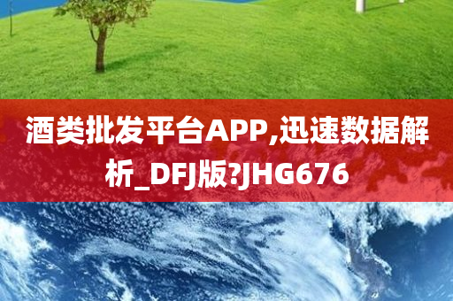 酒类批发平台APP,迅速数据解析_DFJ版?JHG676