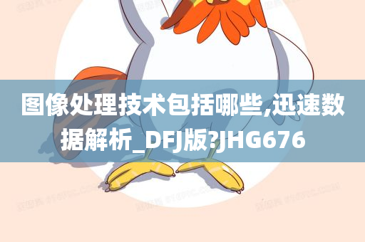 图像处理技术包括哪些,迅速数据解析_DFJ版?JHG676