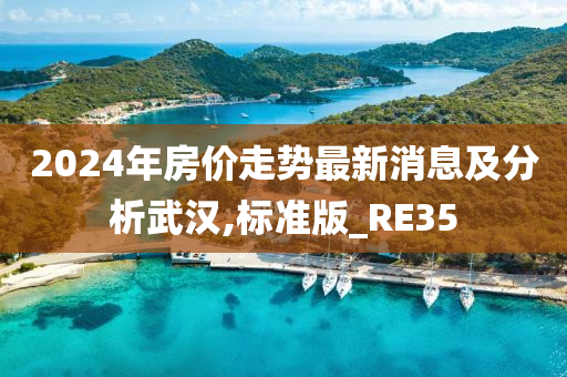 2024年房价走势最新消息及分析武汉,标准版_RE35