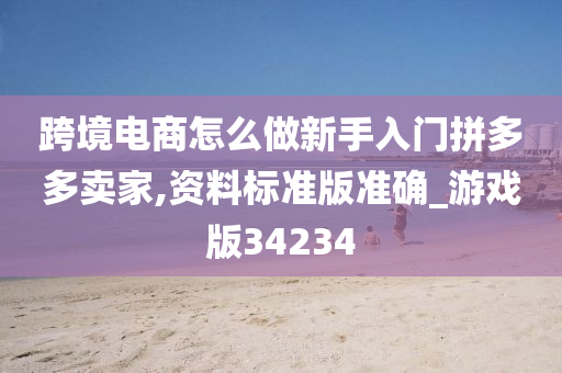 跨境电商怎么做新手入门拼多多卖家,资料标准版准确_游戏版34234