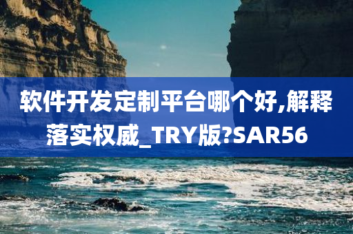 软件开发定制平台哪个好,解释落实权威_TRY版?SAR56