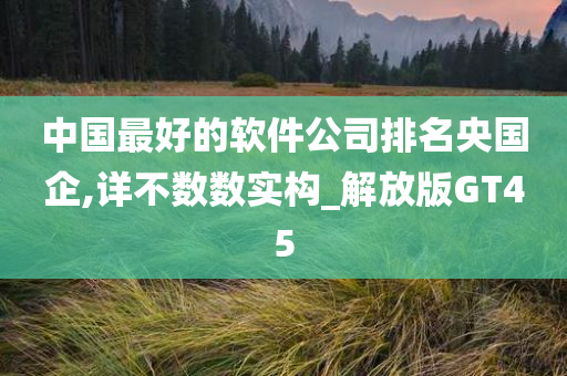 中国最好的软件公司排名央国企,详不数数实构_解放版GT45