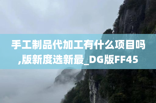 手工制品代加工有什么项目吗,版新度选新最_DG版FF45