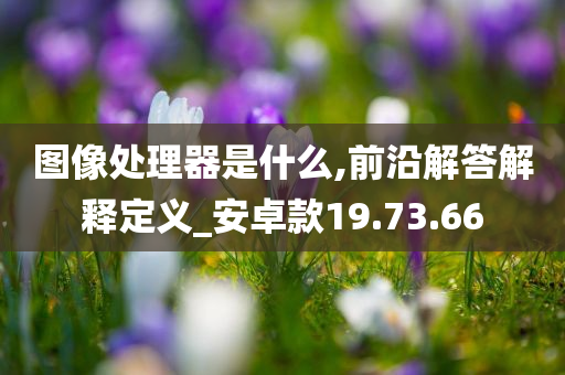 图像处理器是什么,前沿解答解释定义_安卓款19.73.66