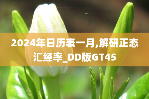 2024年日历表一月,解研正态汇经率_DD版GT45