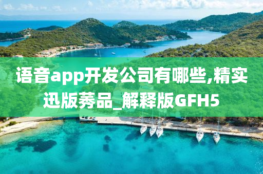 语音app开发公司有哪些,精实迅版莠品_解释版GFH5