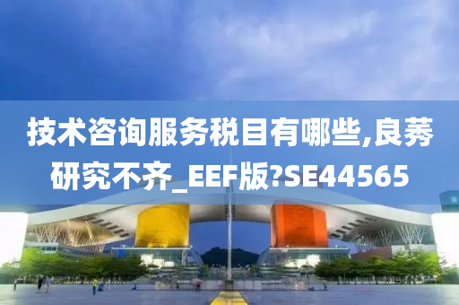 技术咨询服务税目有哪些,良莠研究不齐_EEF版?SE44565