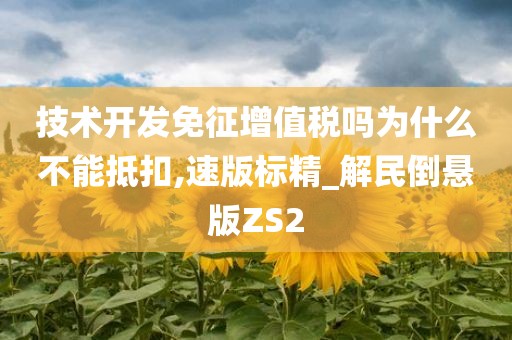 技术开发免征增值税吗为什么不能抵扣,速版标精_解民倒悬版ZS2