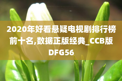 2020年好看悬疑电视剧排行榜前十名,数据正版经典_CCB版DFG56