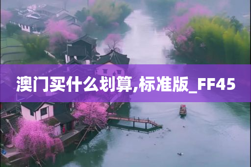 澳门买什么划算,标准版_FF45