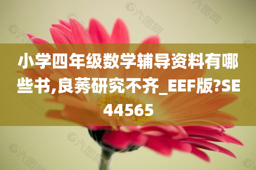 小学四年级数学辅导资料有哪些书,良莠研究不齐_EEF版?SE44565