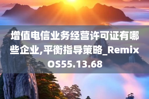 增值电信业务经营许可证有哪些企业,平衡指导策略_RemixOS55.13.68