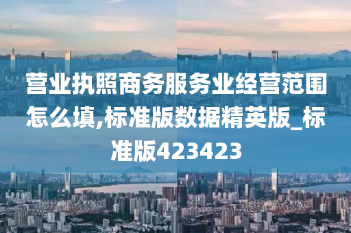 营业执照商务服务业经营范围怎么填,标准版数据精英版_标准版423423