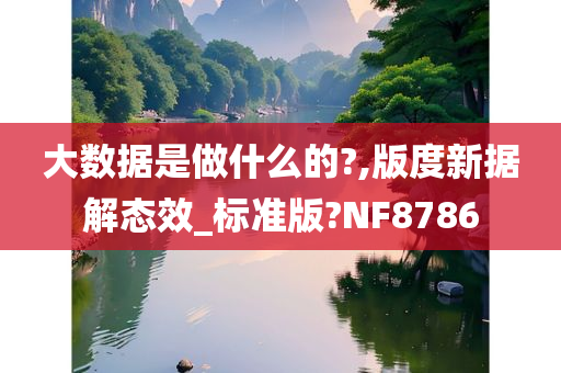 大数据是做什么的?,版度新据解态效_标准版?NF8786