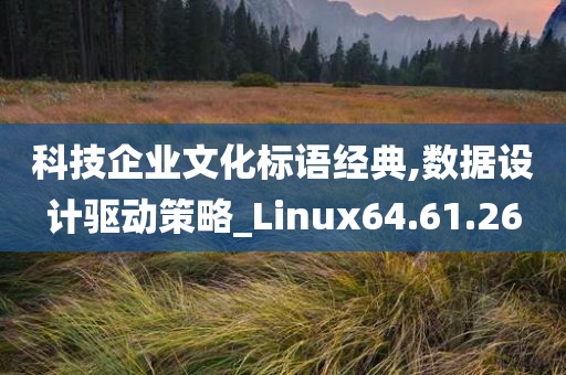 科技企业文化标语经典,数据设计驱动策略_Linux64.61.26