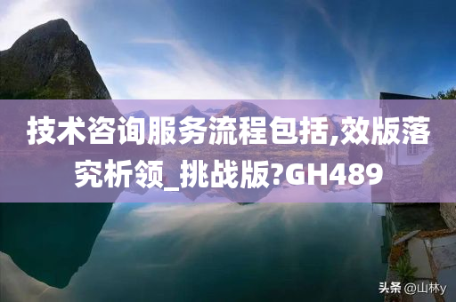 技术咨询服务流程包括,效版落究析领_挑战版?GH489