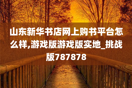 山东新华书店网上购书平台怎么样,游戏版游戏版实地_挑战版787878