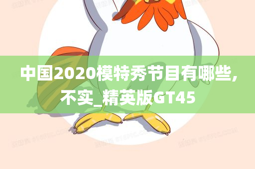 中国2020模特秀节目有哪些,不实_精英版GT45