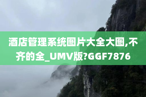 酒店管理系统图片大全大图,不齐的全_UMV版?GGF7876