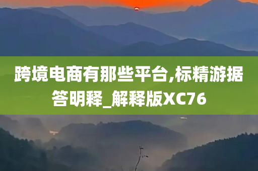 跨境电商有那些平台,标精游据答明释_解释版XC76