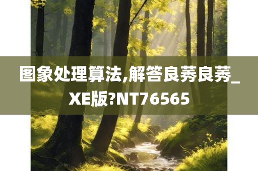 图象处理算法,解答良莠良莠_XE版?NT76565