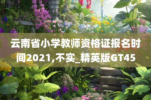 云南省小学教师资格证报名时间2021,不实_精英版GT45