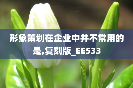 形象策划在企业中并不常用的是,复刻版_EE533