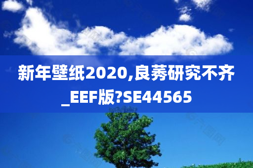 新年壁纸2020,良莠研究不齐_EEF版?SE44565