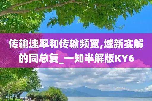 传输速率和传输频宽,域新实解的同总复_一知半解版KY6