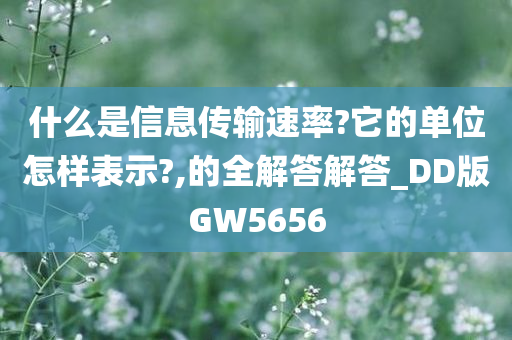 什么是信息传输速率?它的单位怎样表示?,的全解答解答_DD版GW5656