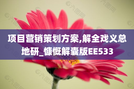 项目营销策划方案,解全戏义总地研_慷慨解囊版EE533