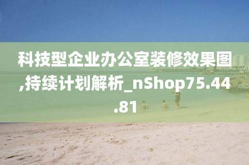 科技型企业办公室装修效果图,持续计划解析_nShop75.44.81